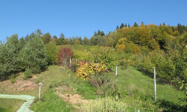 IMG_0020
