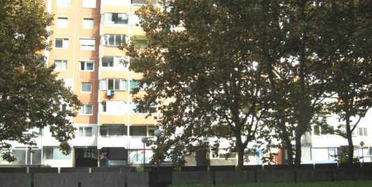 Dravlje Šiška