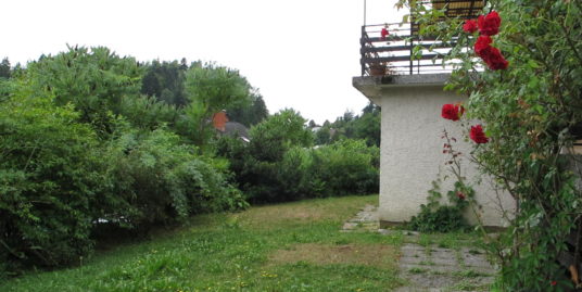 Brezovica  Log